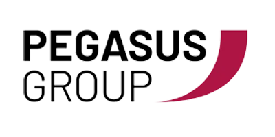 Pegasus Consultancy logo