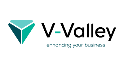 V-Valley logo