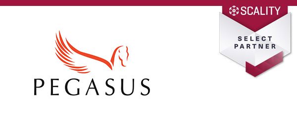 Pegasus Consultancy I UK
