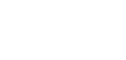 actifio light