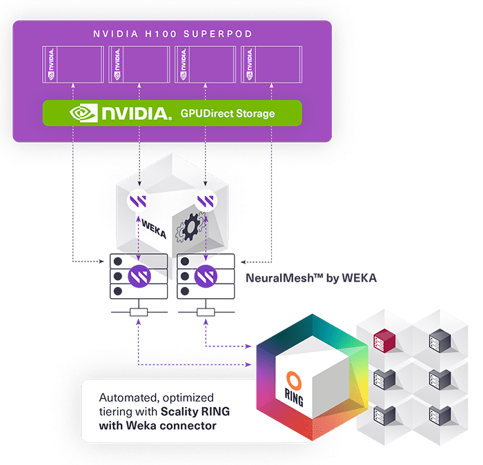 SCAL184 AI solution NVIDIA Landscape