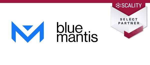Blue Mantis