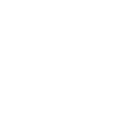 ring icon white